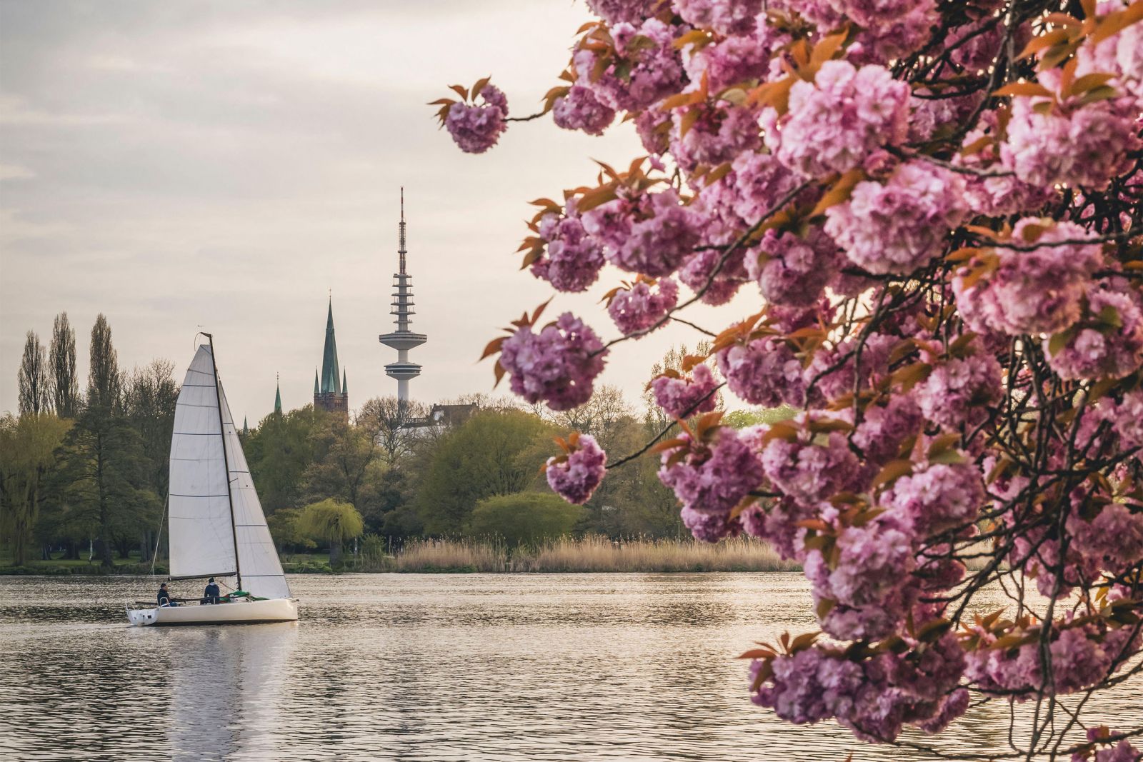 Segelboot auf der Außenalster in Hamburg nahe der Uhlenhorst